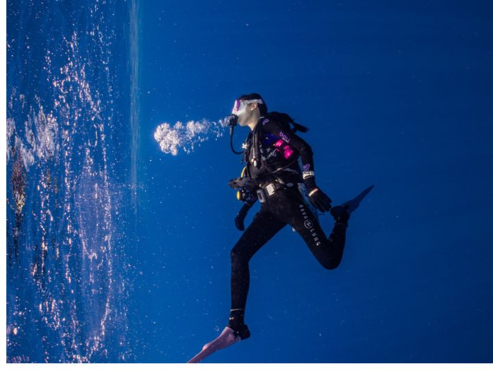 Pourquoi Faire De La Plong E Sous Marine