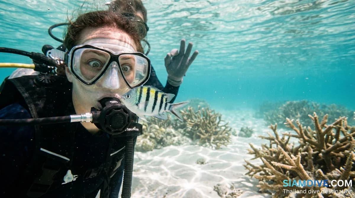 Pourquoi apprendre la plongée : ce que la bucket list ne dit pas