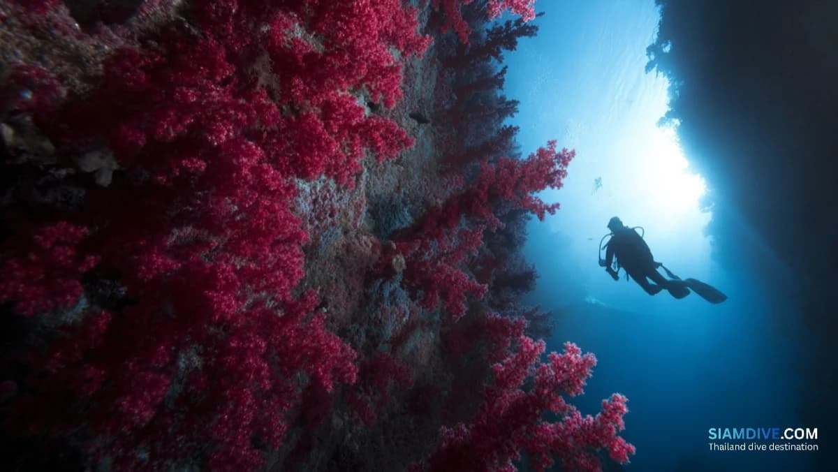 5つの深度で変わるHin Daengの赤い壁