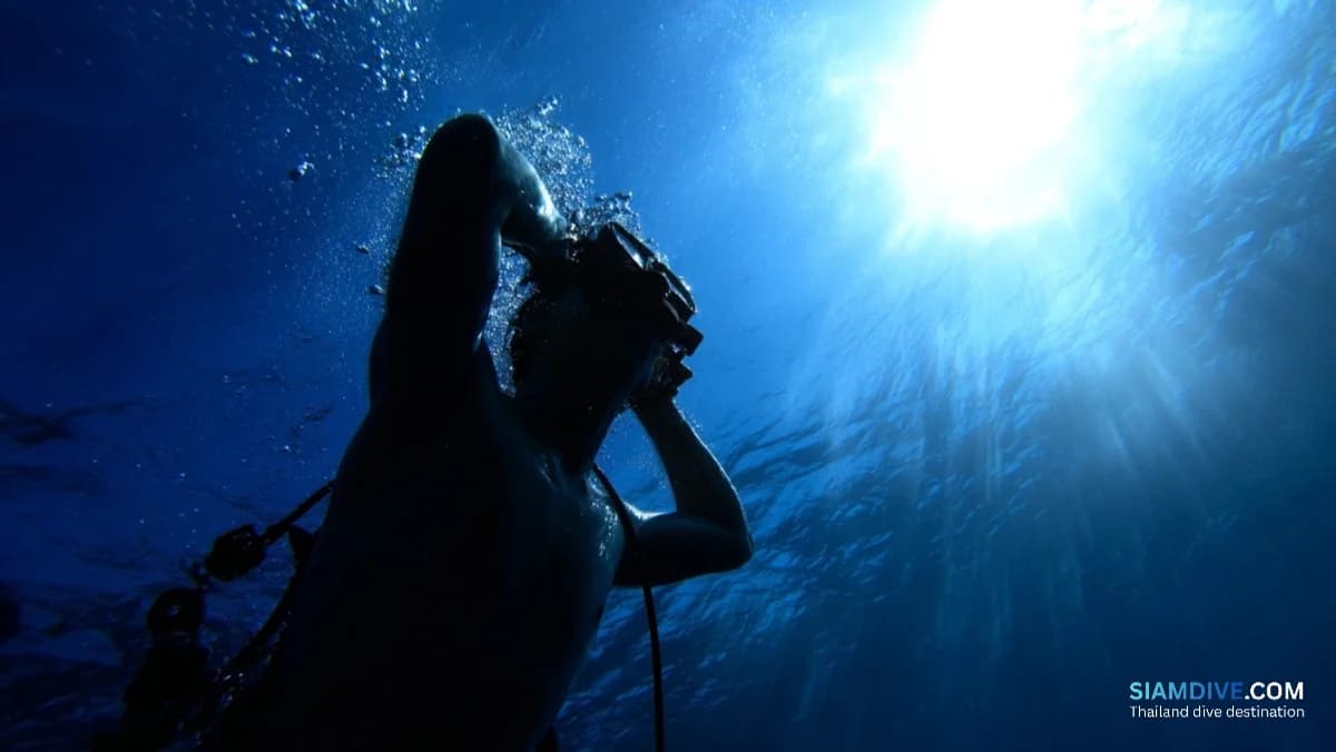 Die 5-Stunden-Falle: Wenn das Abschwellmittel unter Wasser versagt