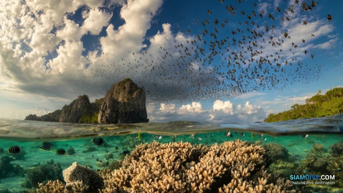 Récif en coeur et inscription royale à Koh Lang Ka Jiw