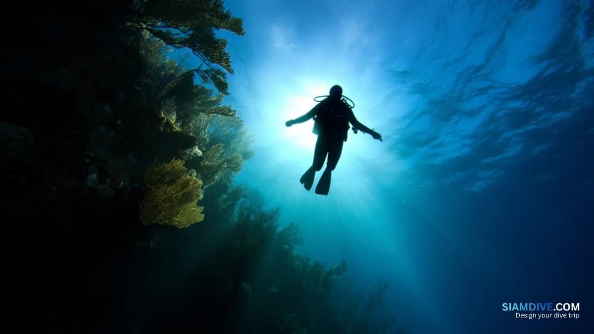 28°C наверху, 22°C внизу: когда 3мм подводит в Таиланде