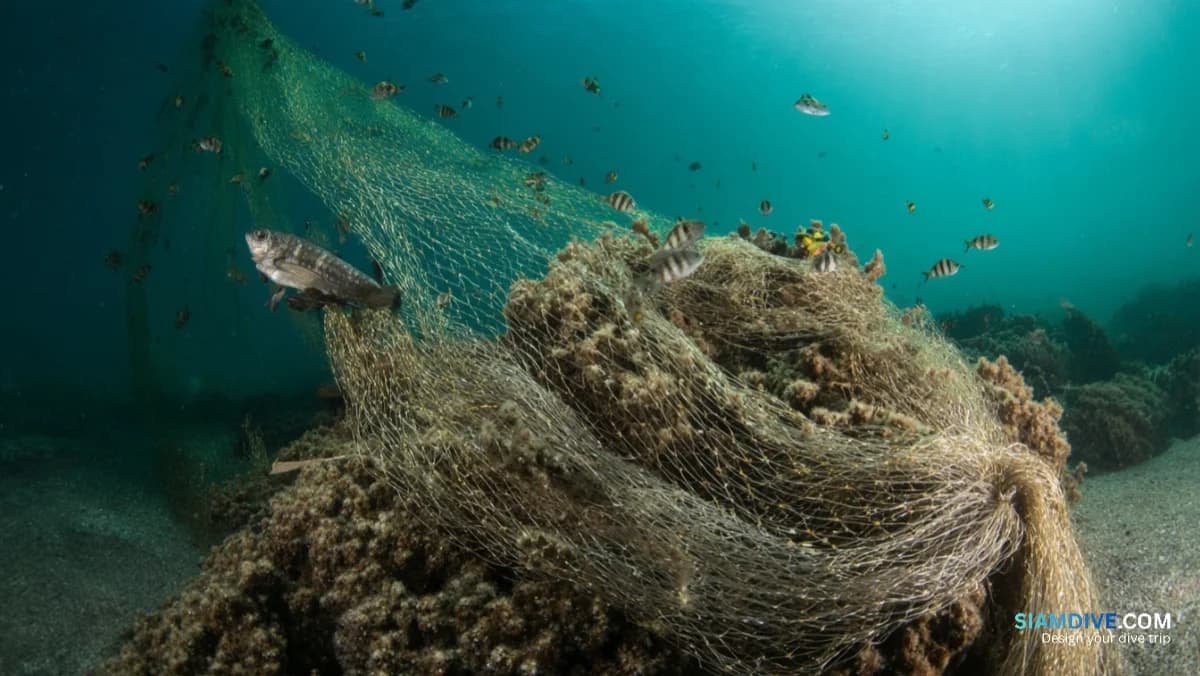 버려진 그물 하나가 600년간 바다를 죽인다