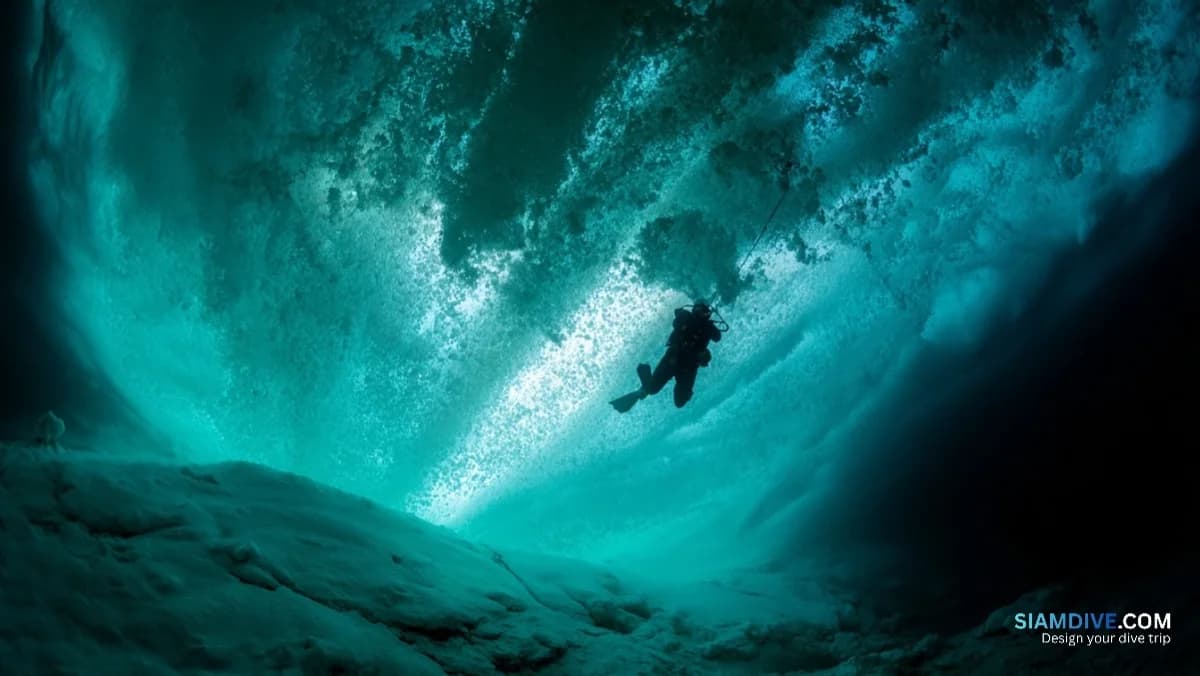 40 mètres de visibilité sous un mètre de glace au Baïkal