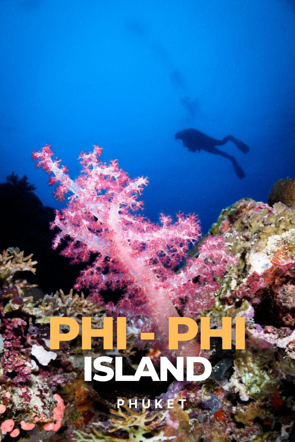 Plongée Sous-Marine aux Îles Phi Phi | Phuket, Thaïlande | Un Paradis Sous-Marin