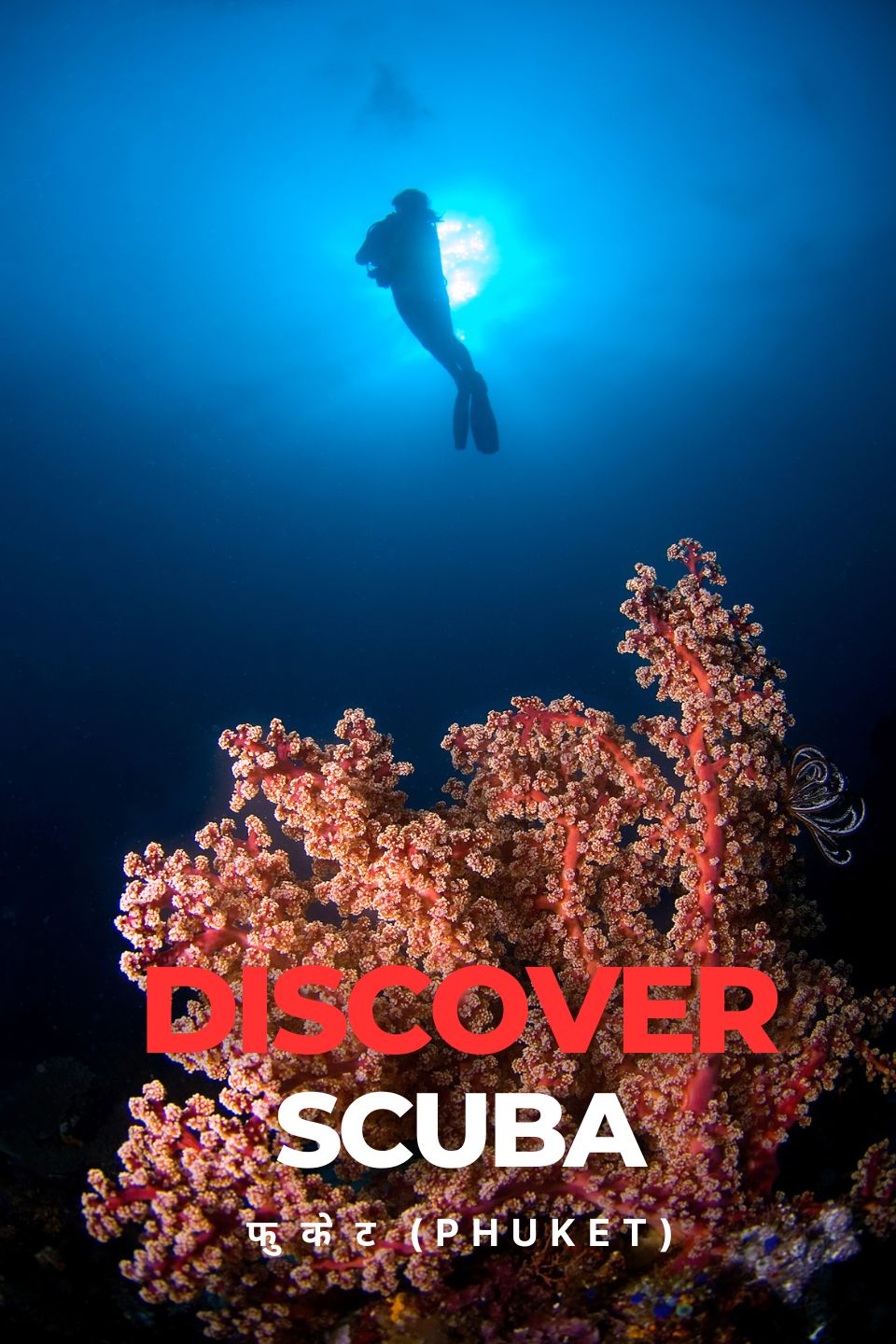 फुकेत में स्कूबा डाइविंग का अनोखा अनुभव | Discovery Scuba Diving | थाईलैंड