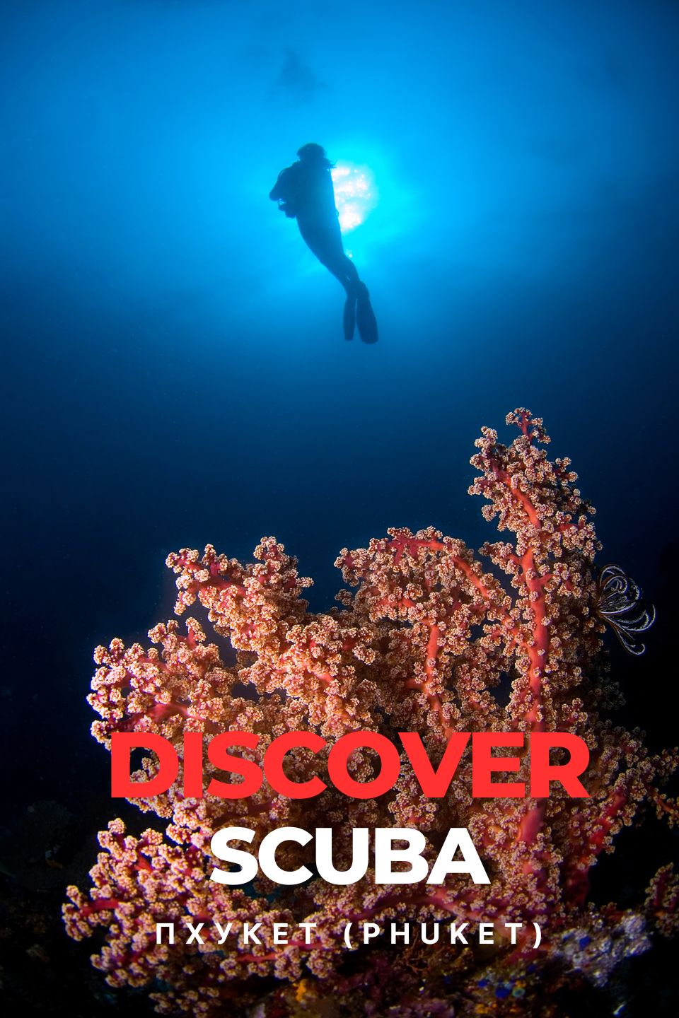 Откройте подводный мир | Discovery Scuba Diving | Пхукет, Таиланд