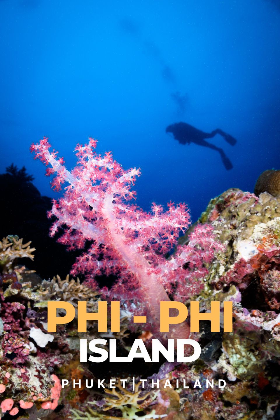 Buceo en las Islas Phi Phi | Phuket, Tailandia | Aventuras Submarinas Inolvidables