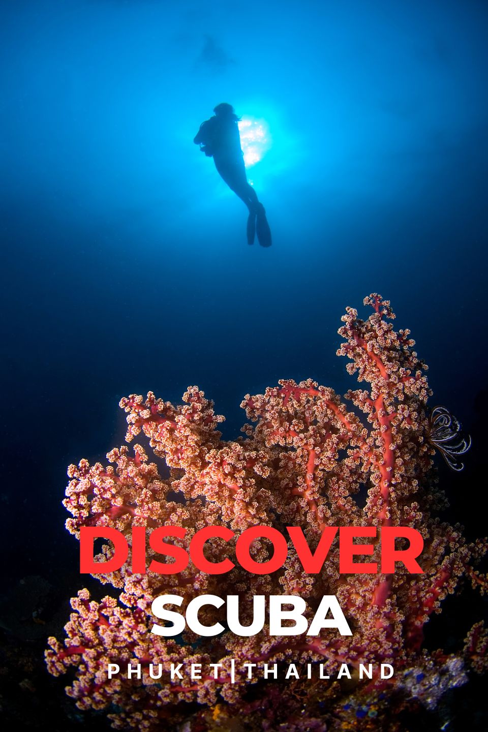 Descubre el Buceo en Phuket | Discovery Scuba Diving | Aventuras Submarinas en Tailandia