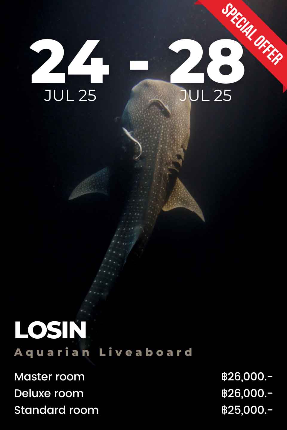 Losin 24-28Jul25