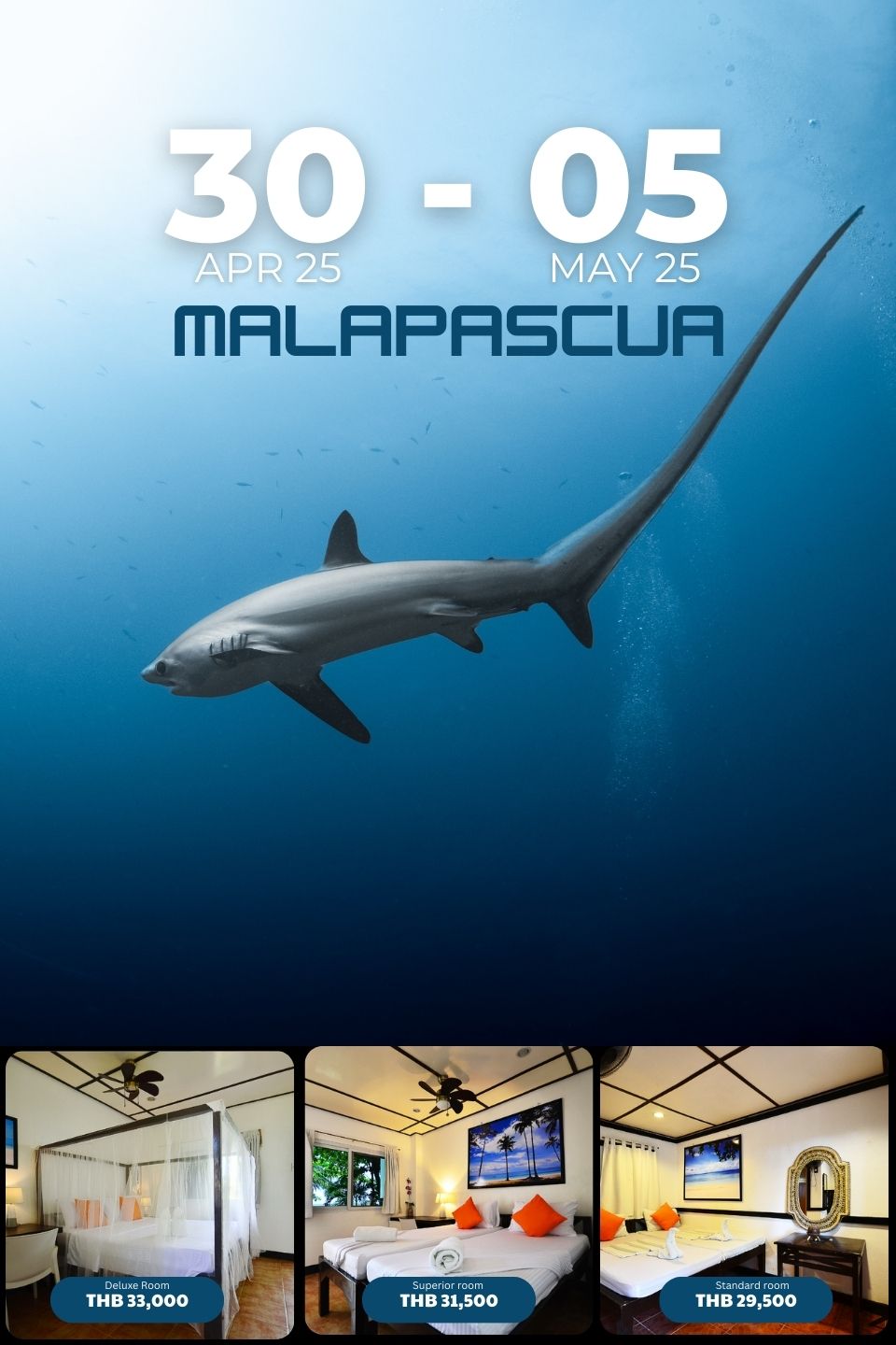 Malapascua 11-16 Apr 25