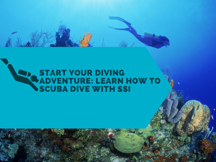 Start Your Diving Adventure: Learn How to Scuba Dive with SSI