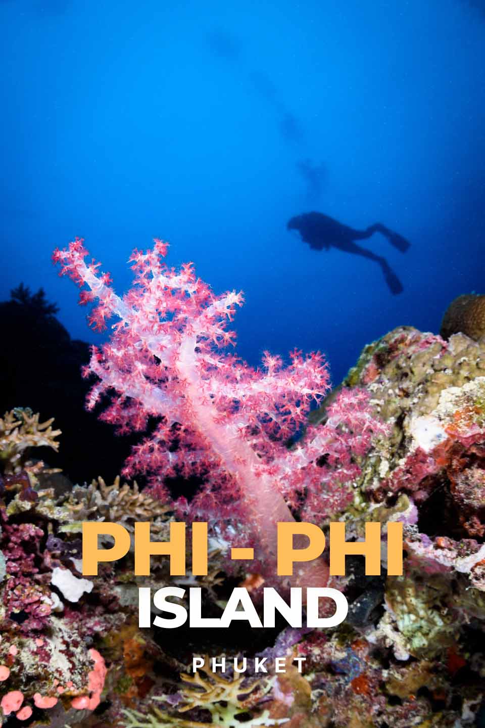 Phi Phi Island Scuba Diving in Phuket | Dive into Stunning Coral Reefs and Marine Life