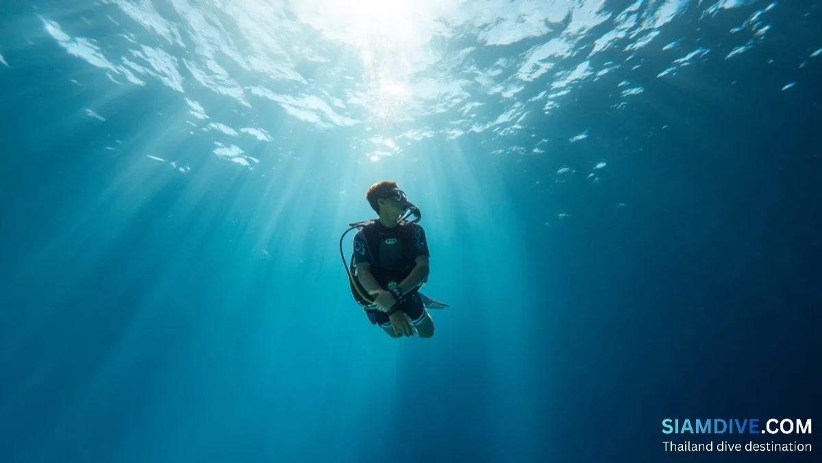 Vitesse de remontée sûre : la règle de plongée que la plupart des plongeurs enfreignent — image 2