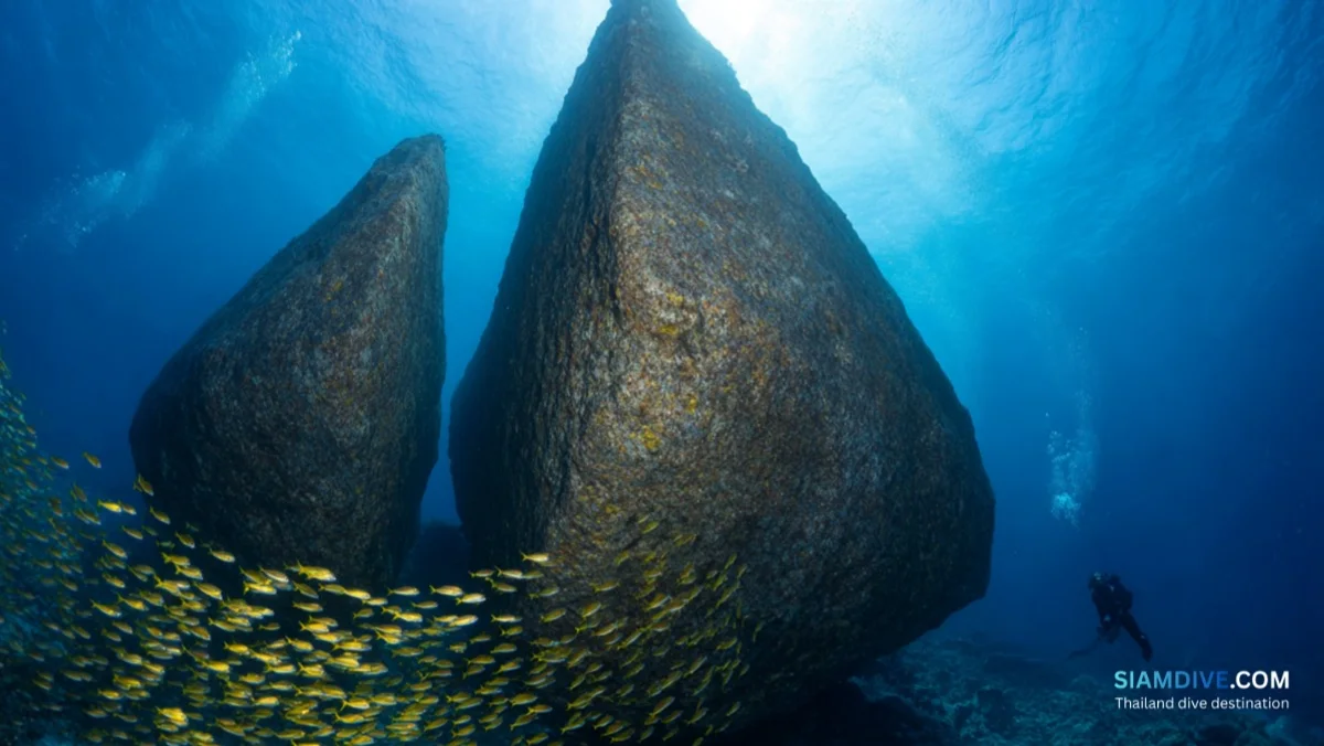 Triangle Pinnacle Diving Guide: The Gulf's Quietest Granite Site — image 4