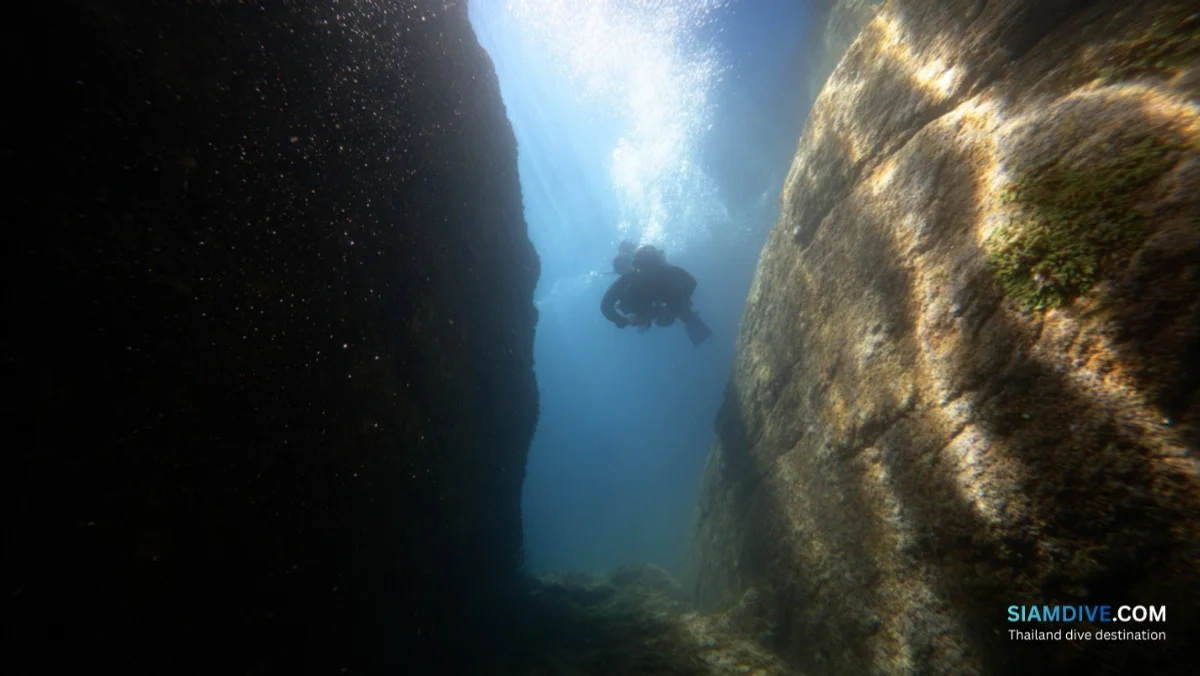 Green Rock Koh Tao Diving Guide: The Island's Best Swim-Through Site — image 3