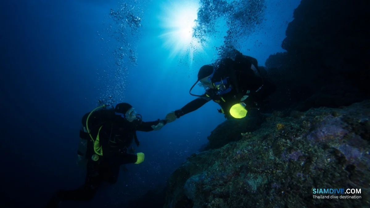 BCD раздувается сам: отключение за 4 секунды — image 2