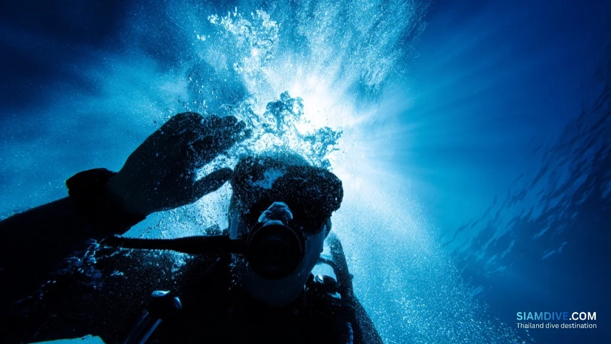 Die 5-Stunden-Falle: Wenn das Abschwellmittel unter Wasser versagt — image 3