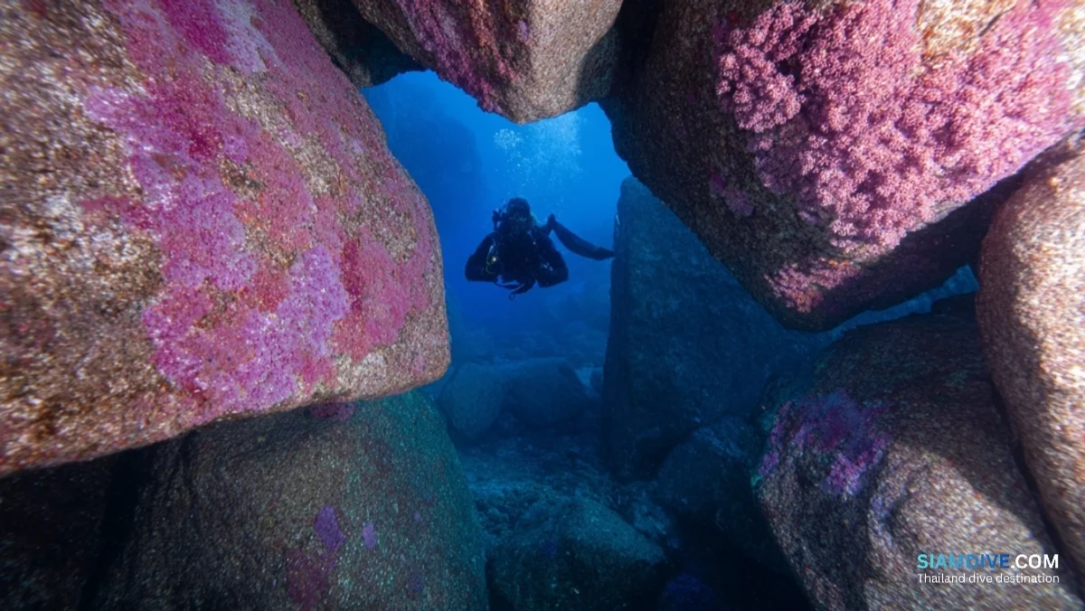 40m 화강암 미로, Elephant Head를 두 번 다이빙하는 이유 — image 2
