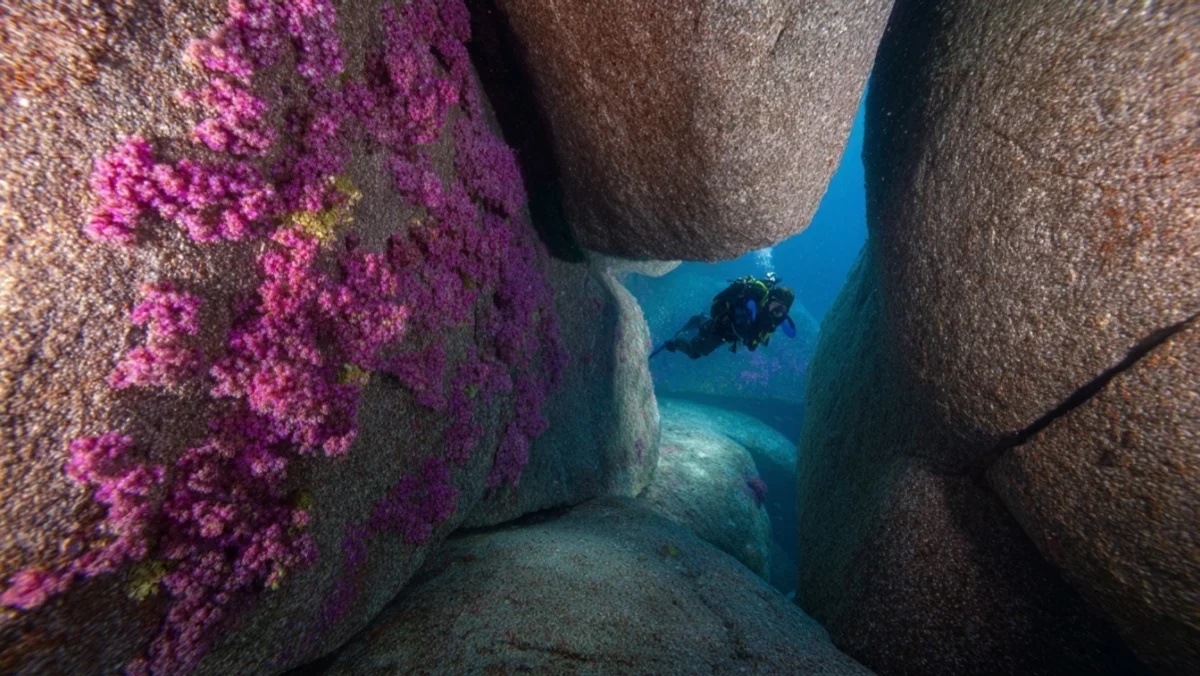 40m 화강암 미로, Elephant Head를 두 번 다이빙하는 이유 — image 4