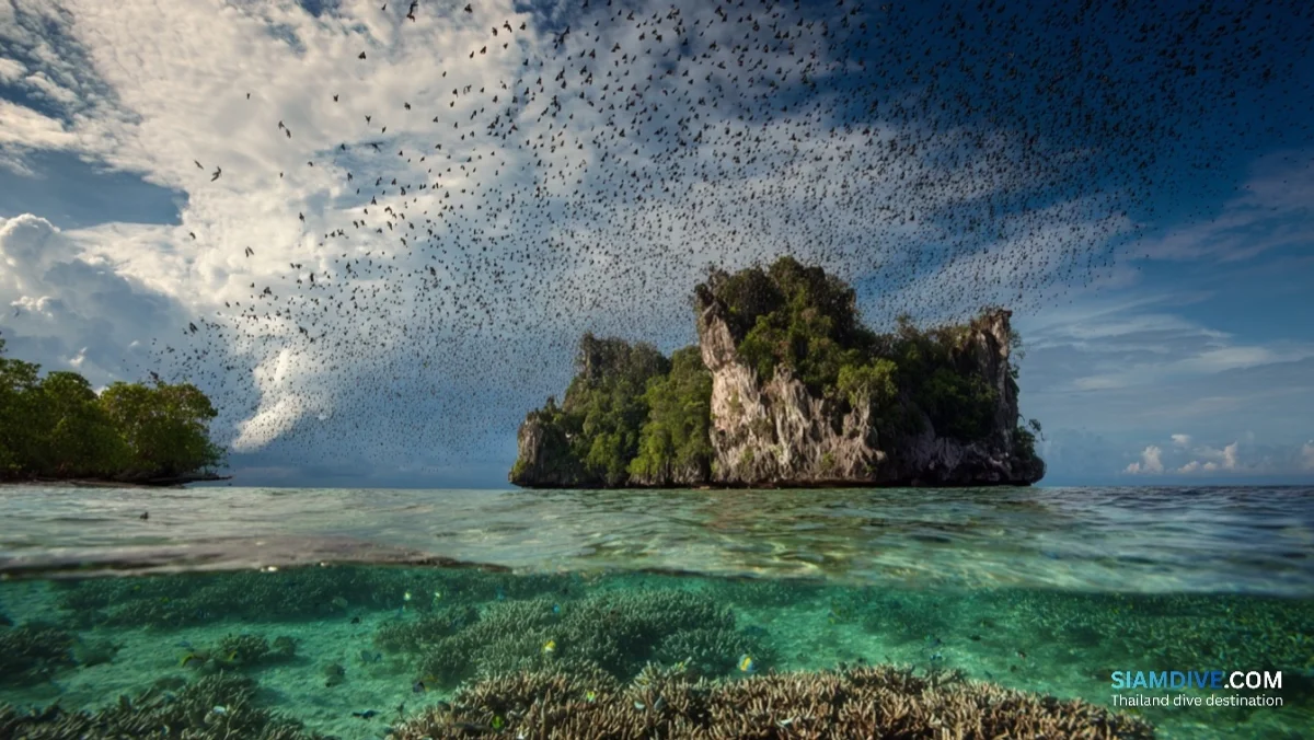 เกาะลังกาจิว: ปะการังรูปหัวใจกับรอยจารึก ร.5 — image 2