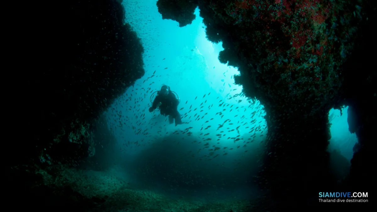 Koh Thalu: Swim-Through Caves in Chumphon's Pierced Island — image 3