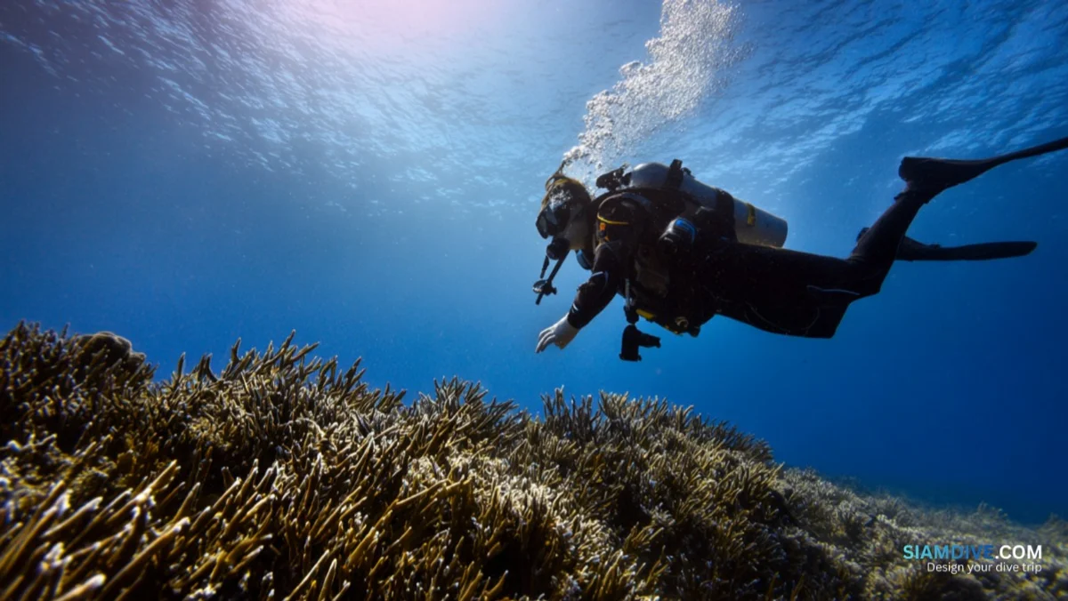 4 Breathing Mistakes That Empty Your Tank Before the Group — image 3