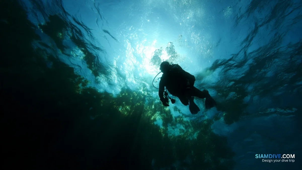 28°C наверху, 22°C внизу: когда 3мм подводит в Таиланде — image 2