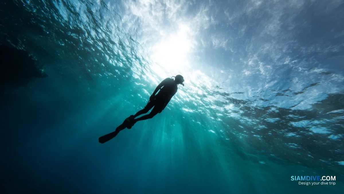 28°C наверху, 22°C внизу: когда 3мм подводит в Таиланде — image 4