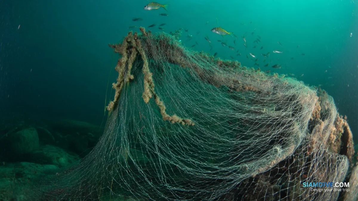 버려진 그물 하나가 600년간 바다를 죽인다 — image 2