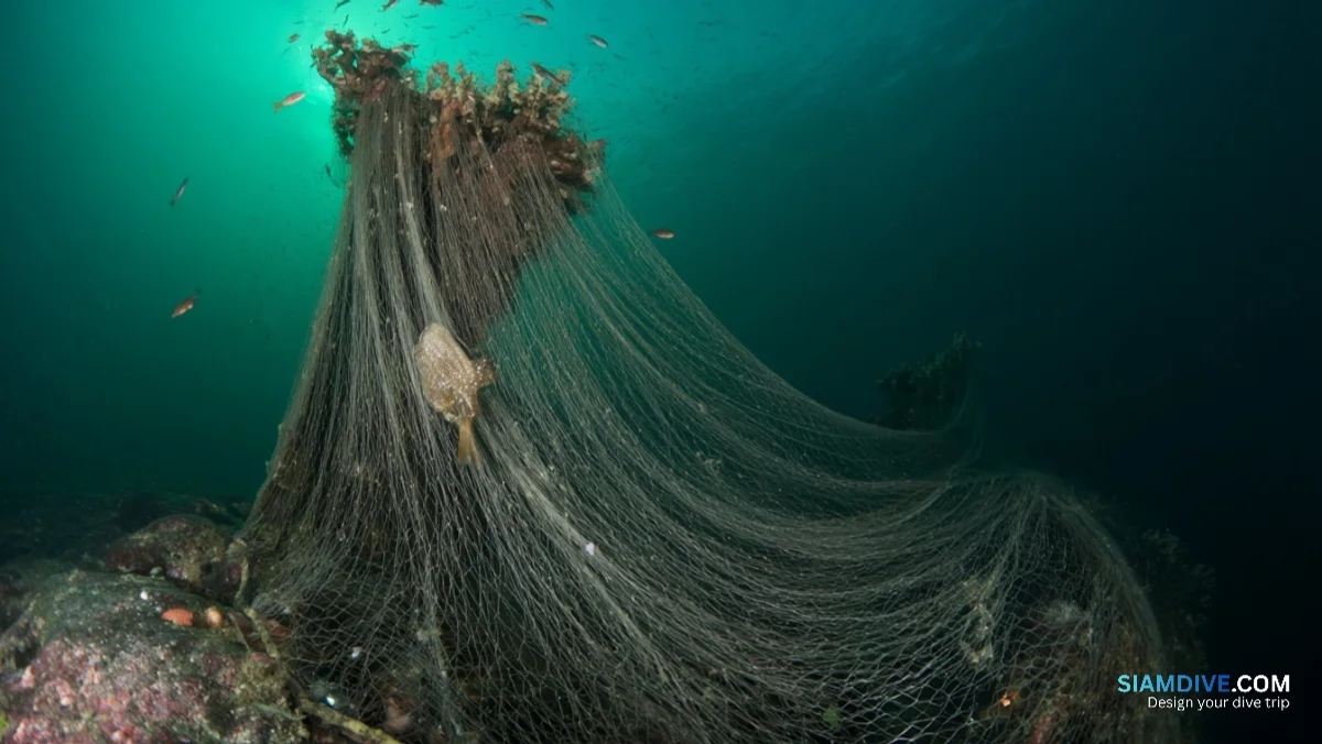 버려진 그물 하나가 600년간 바다를 죽인다 — image 4