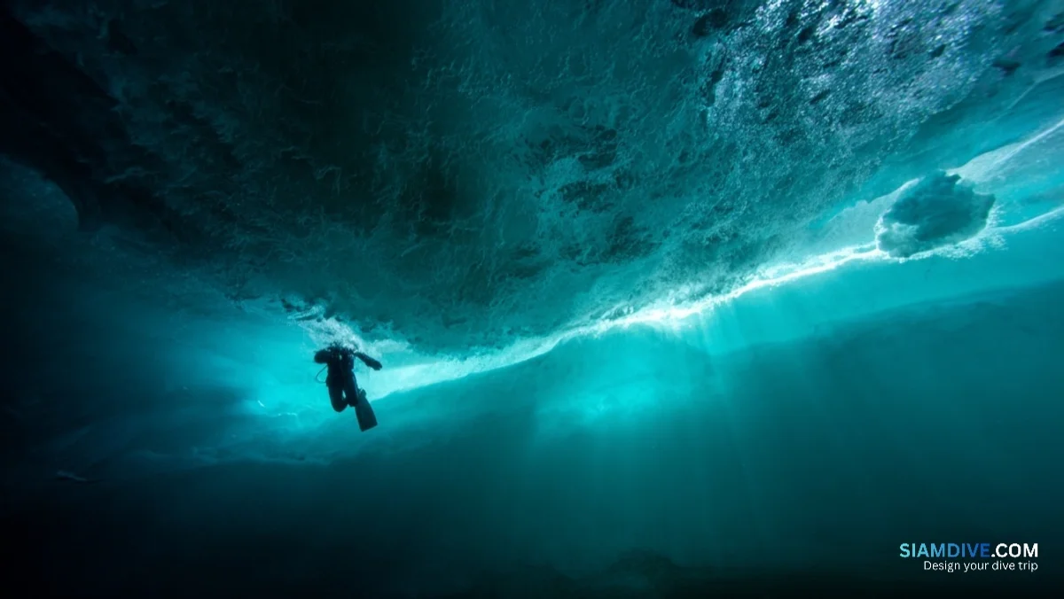 40 mètres de visibilité sous un mètre de glace au Baïkal — image 3