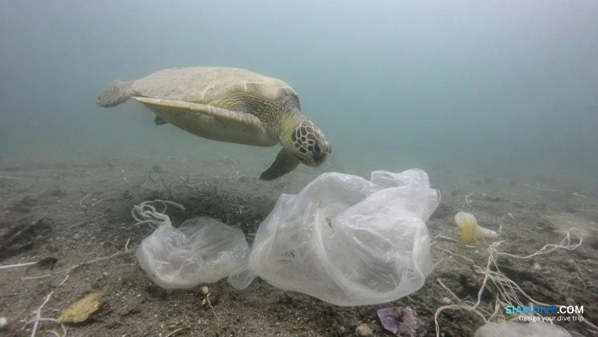 輪ゴムと釣り糸がウミガメの心臓を止めるまで — image 3