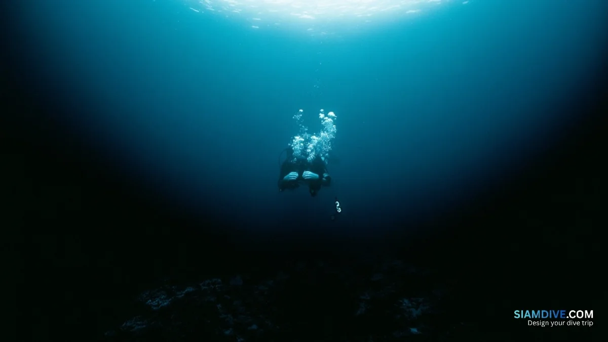 50% of Divers Have Panicked — Their Lungs Made It Worse — image 2