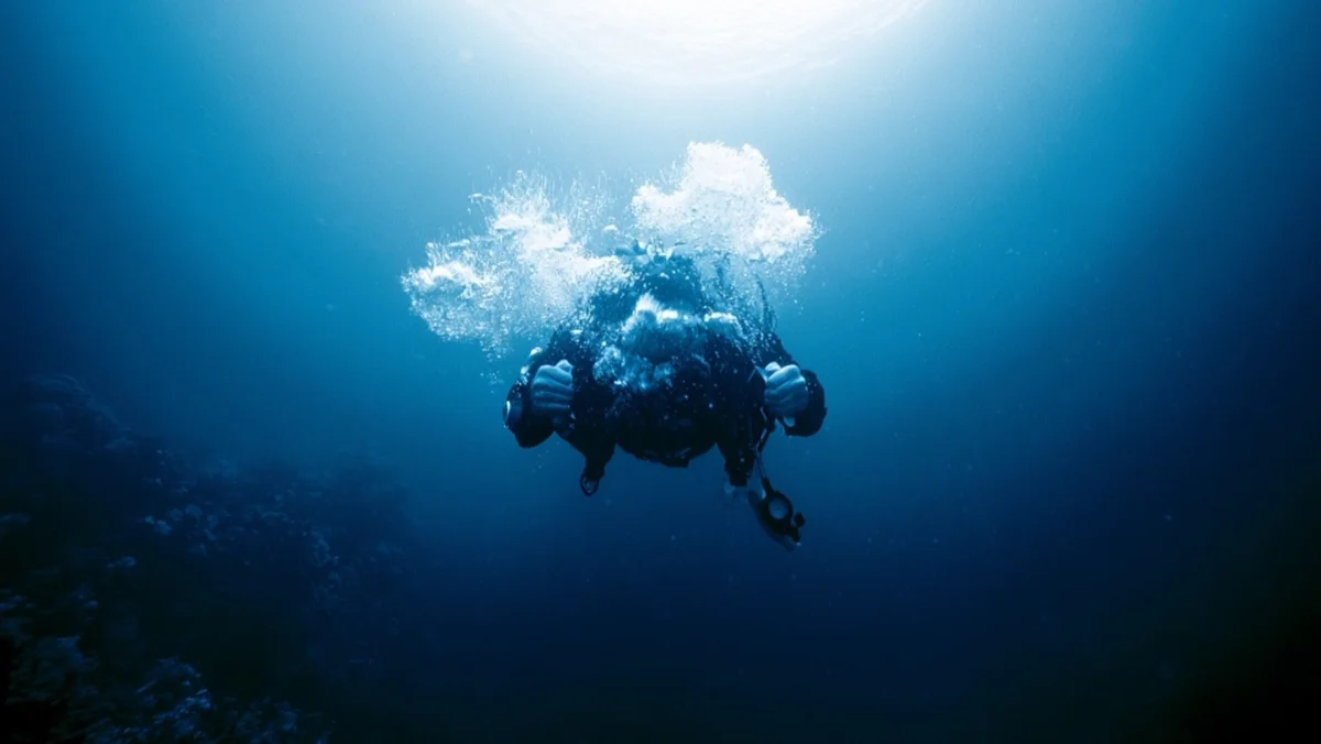 50% of Divers Have Panicked — Their Lungs Made It Worse — image 4