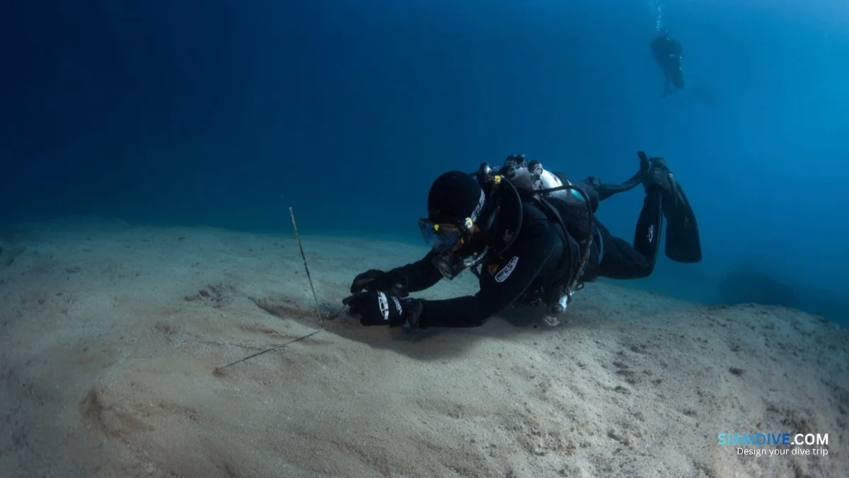 7 Mistakes Every New Diver Makes When Nobody Is Watching — image 2